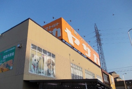 ヤサカまで900m