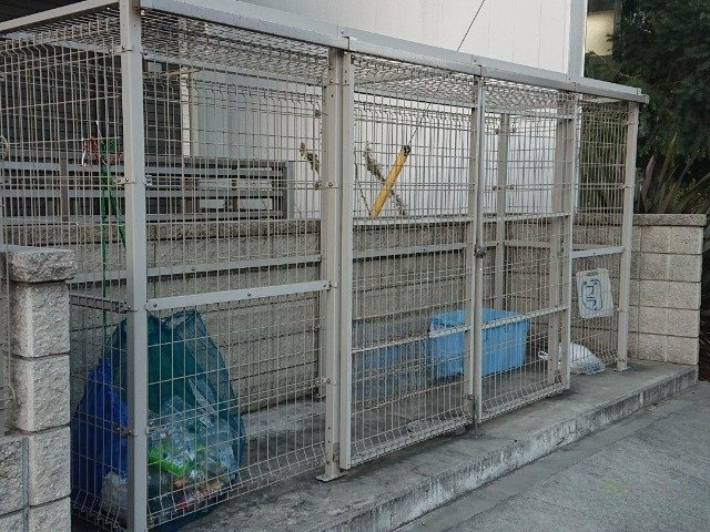 レオパレスラピス城南のその他