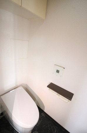 グレイス錦糸町のトイレ|落ち着いた色調のトイレです