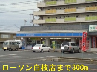 【周辺】 | ジール　マルマツ | ローソン白枝店まで300m
