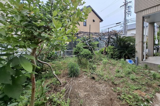 貝塚市二色4丁目の庭|庭（植栽撤去前）