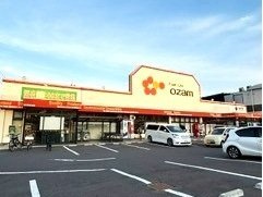 ヒカルサ西所沢ノースの周辺|オザムけやき台店まで500m