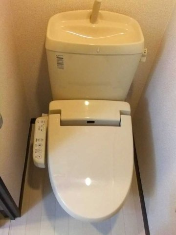 レオネクストステラのその他