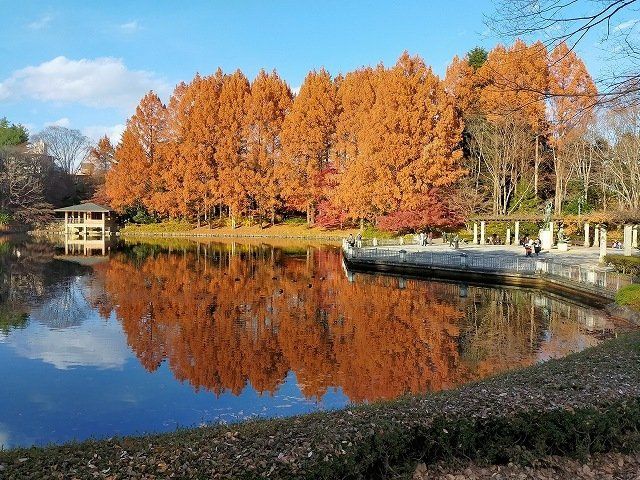 オーキッドハイツの周辺|中央公園まで700m