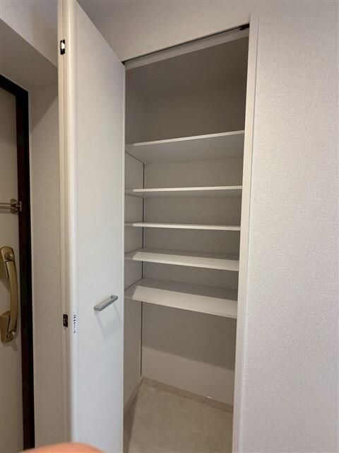 ＭＡＸＩＶ生田の収納