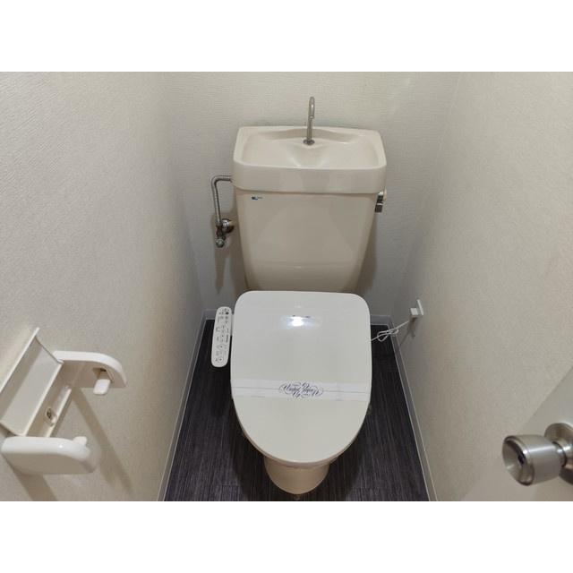 カーサガレリアⅠのトイレ
