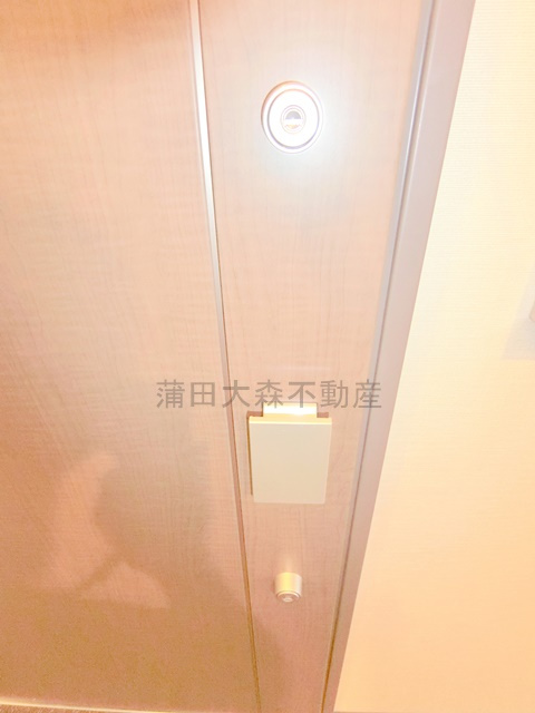フレンシア蒲田の玄関