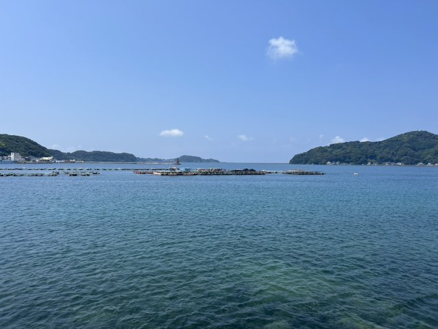 呼子の展望