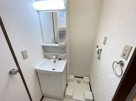 プロテージスダの洗面所