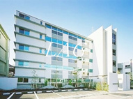 ｒａｆｆｉｎｅ，Ｓの画像