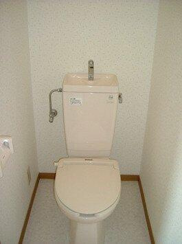 落ち着いた色調のトイレです。