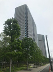 シティタワーズ東京ベイ　セントラルタワーの画像