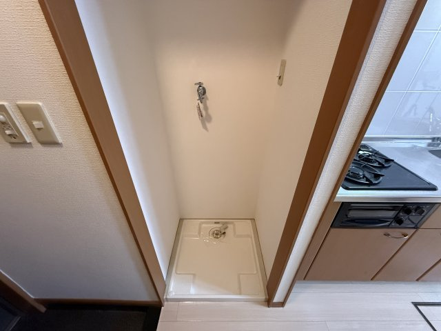 エルピスⅠのその他