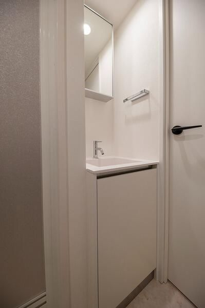 ＣＯＣＯＣＵＢＥ南大塚の洗面所