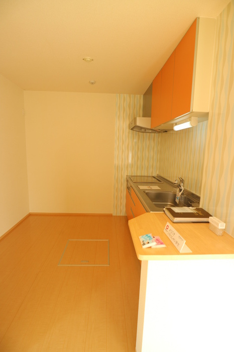 ECO SOLEIL B棟のキッチン