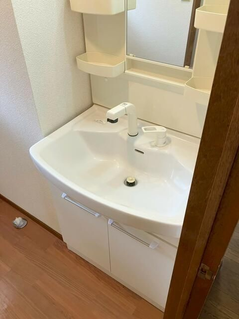 ドミールアオキの独立洗面台