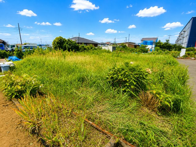 三郷市　彦音2丁目　売地の外観|陽当たりの良い開放的な現地。農園利用をご検討の方はぜひ現地をご覧ください。