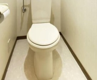シュエットメゾンのトイレ