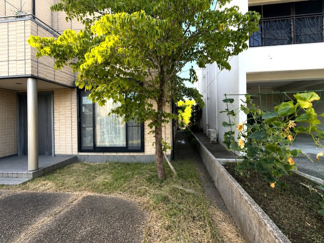 奈良市古市町　中古戸建の庭|家庭菜園やガーデニングも楽しめるゆとりある敷地スペース。