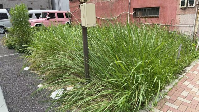東京都台東区台東３丁目 売地の外観