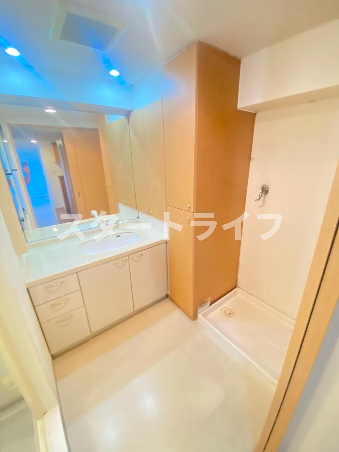 大阪市淀川区三国本町２丁目の賃貸マンションの洗面所