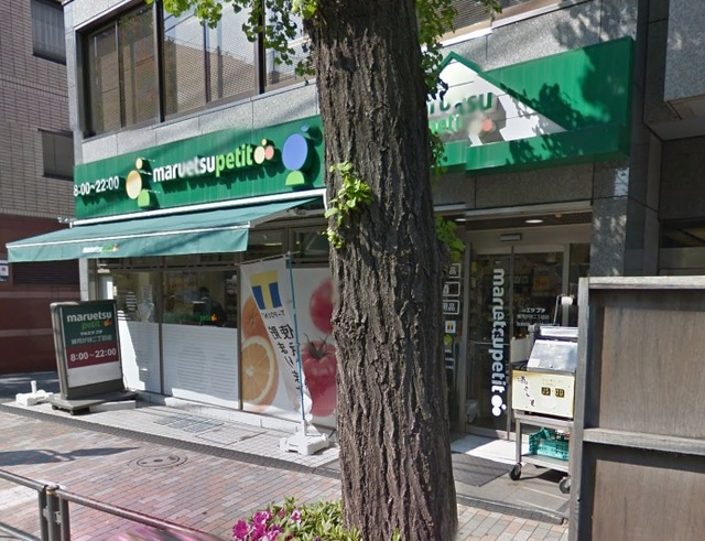 NOBLE 目白台のその他|マルエツプチ雑司が谷二丁目店