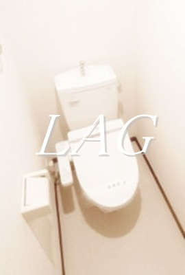 【トイレ】 | デュラカーサ　コブシⅣ | トイレです。