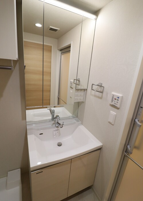 TWIN TOWERS AZUKIの洗面所