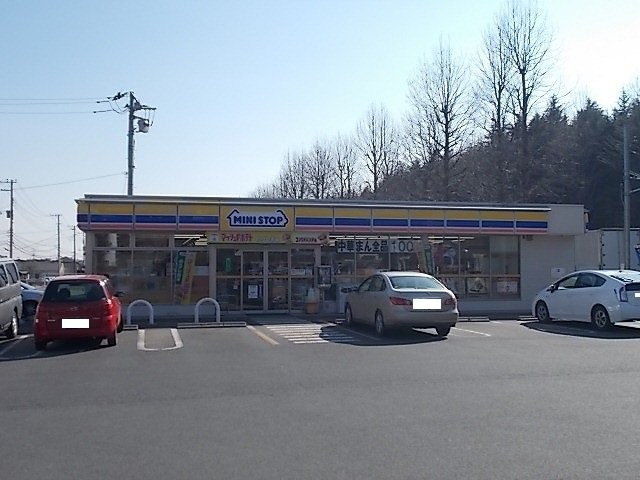 カーサプラートＢの周辺|ミニストップ高野台店まで90m
