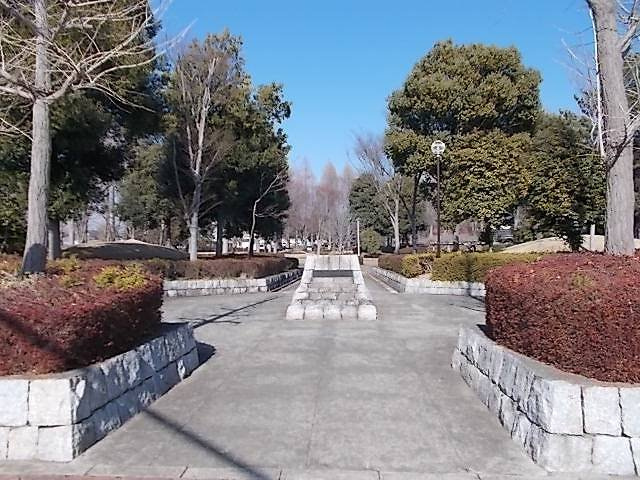 カーサプラートＢの周辺|高野台公園まで130m