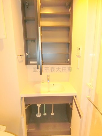 パークアクシス東蒲田 の洗面所