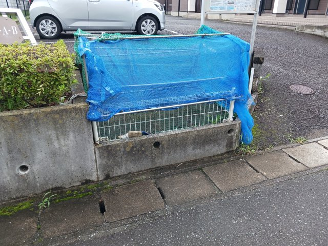 【その他】