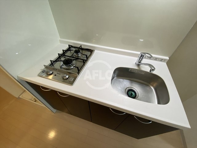 エステムプラザ大手前エヴァースのキッチン|エステムプラザ大手前エヴァース　2口ガスシステムキッチン