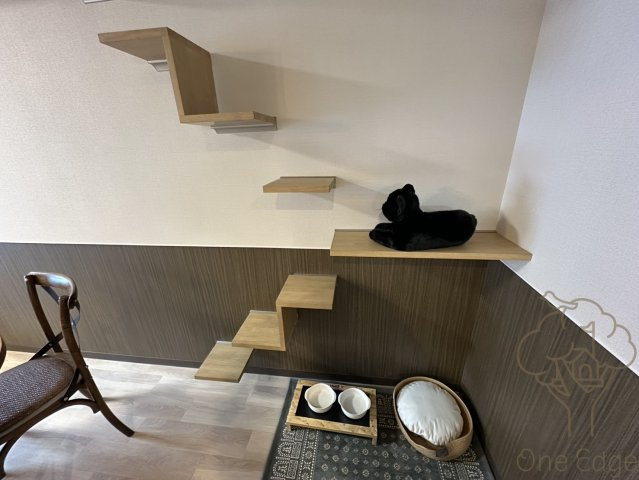 LEGALAND+猫 MIYAKOJIMAの居間・リビング