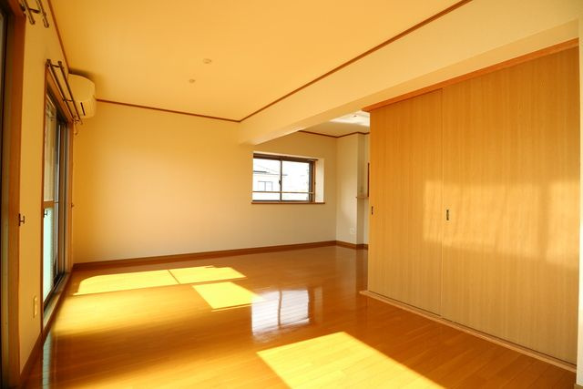 アプランドル　IVのその他