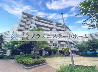【外観】 | ポートアイランド住宅43号棟 | ８階建ての８階部分です♪最上階の部屋のみLDKの天井高が高いです♪