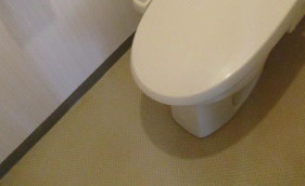 ハイツオーエドのトイレ