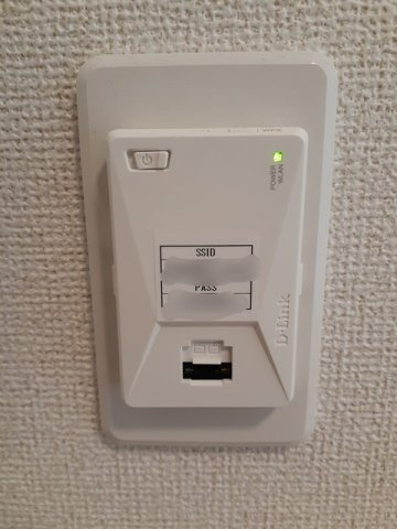 パンプキン　クィーンのその他