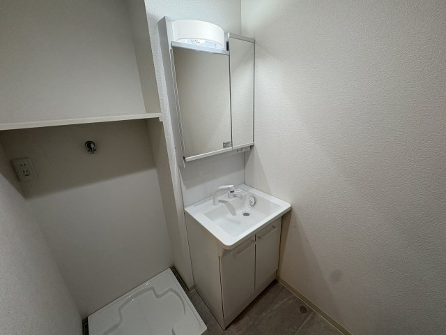 ザ・シティ福田テラスⅡの洗面所
