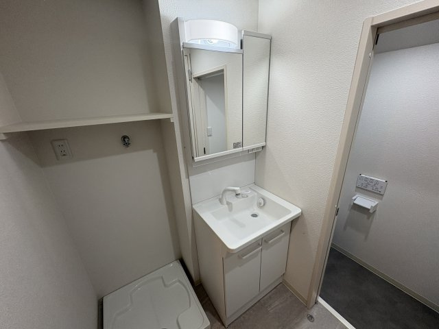 ザ・シティ福田テラスⅡの洗面所