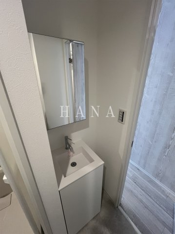 フィオーネ柴又の洗面所