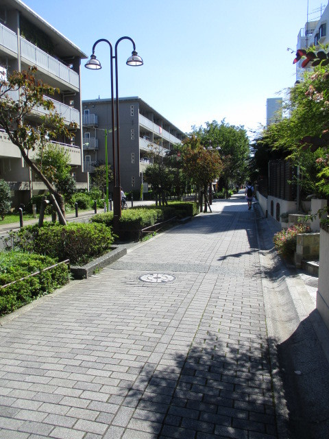Ｌａ　Ｆｅｌｉｃｅ　二子玉川のその他|車通りの少ない歩道
