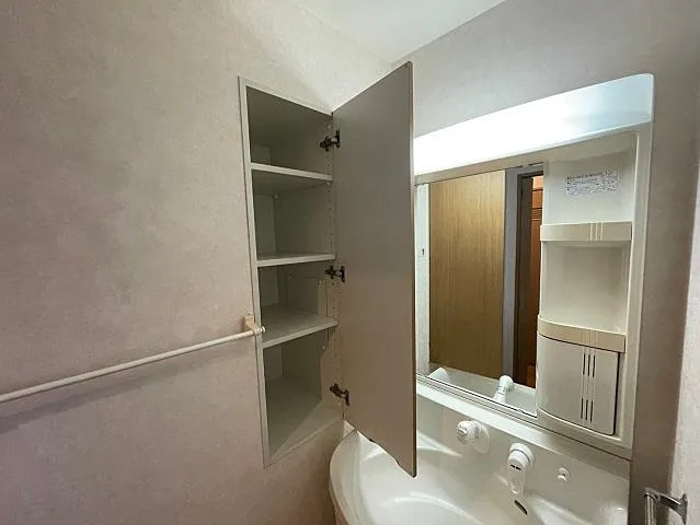 芦屋市大桝町の賃貸マンションの洗面所