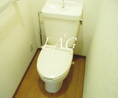 【トイレ】 | メゾンドラモーヌ | トイレです。