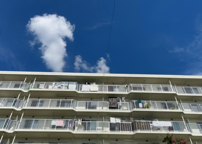 【展望】 | 厚木毛利台ハイツ八号棟 | 眺望を気にして物件を探す場合、前面に建物が建っていないか現地で確認しましょう！前面に建物があると景色はもちろん、日当たりや風通しにも影響が出てきます。住んだ時のことを想像しながら現地見学をしましょう。