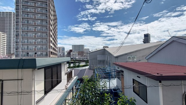 ハイネスゴールドの展望