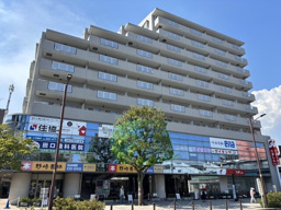 ハイム・アレグローネの画像