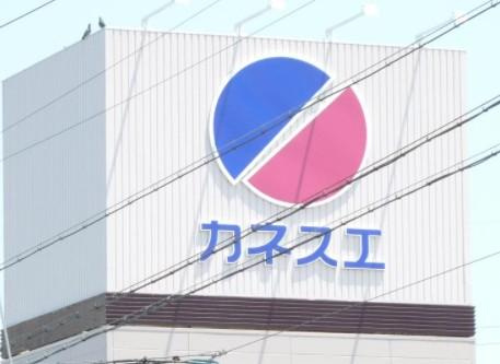 ディア フォレストの周辺|カネスエ平和店まで1,542ｍ