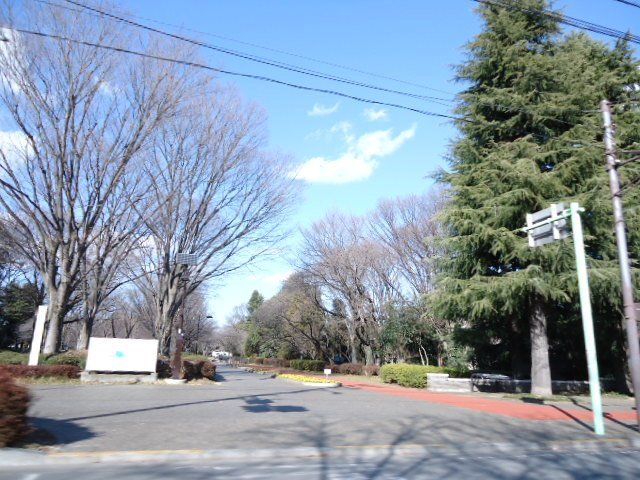 ロワ・セリシールＭの周辺|都立小金井公園まで1,223ｍ