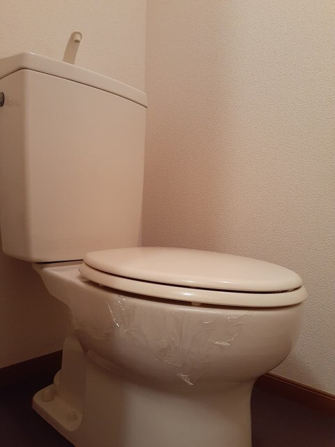 メゾン桃郷のトイレ